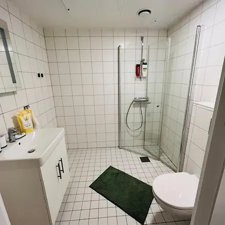 Koselig Studioleilighet