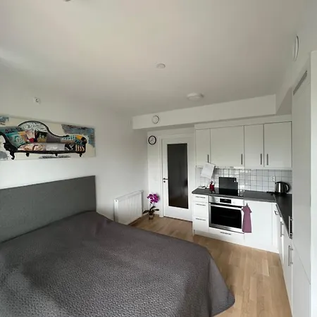 Apartment Koselig Studioleilighet
