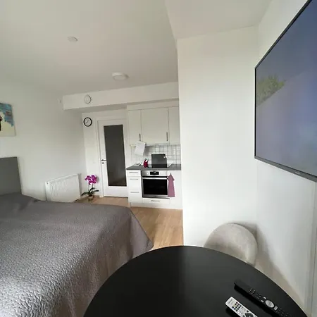 Koselig Studioleilighet *