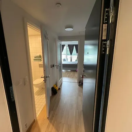 Koselig Studioleilighet