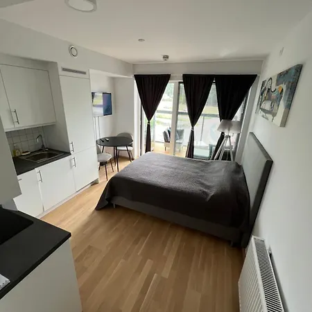 Koselig Studioleilighet