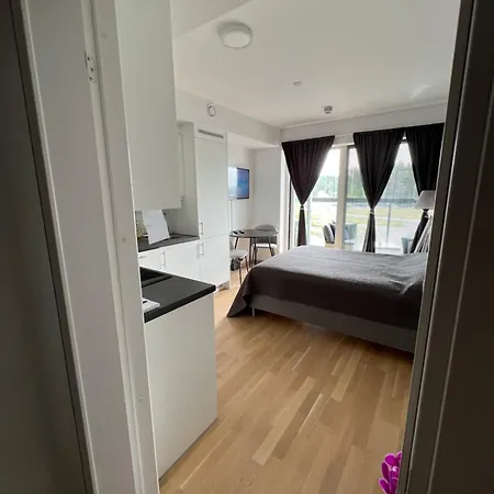 Koselig Studioleilighet Apartman *