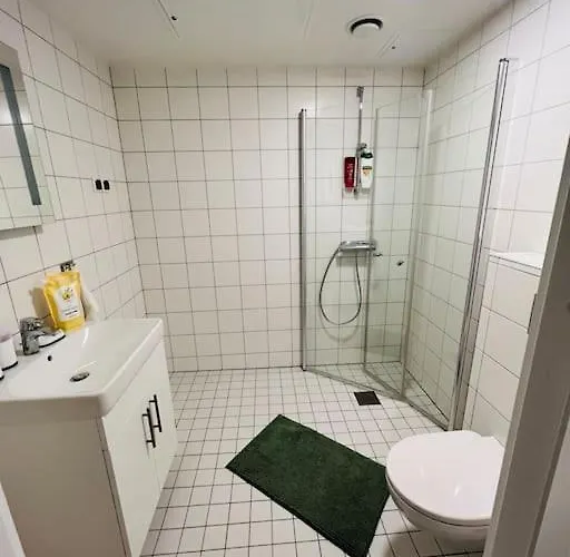 Koselig Studioleilighet