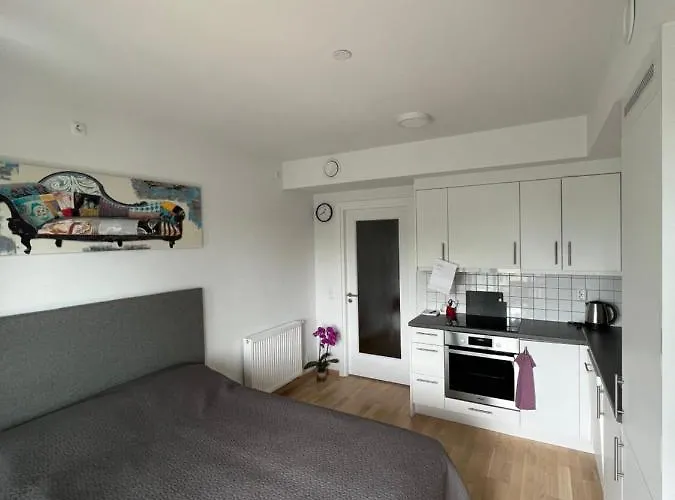 Leilighet Koselig Studioleilighet