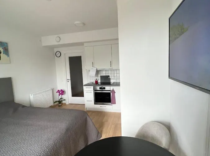 Koselig Studioleilighet *